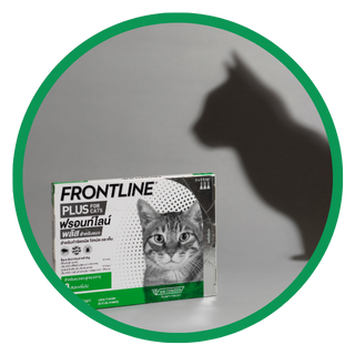 การอาบน้ำ