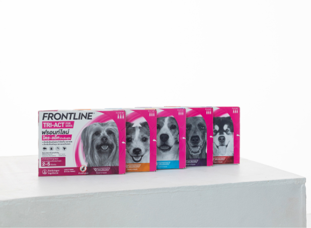 FLTA Product no dog TH