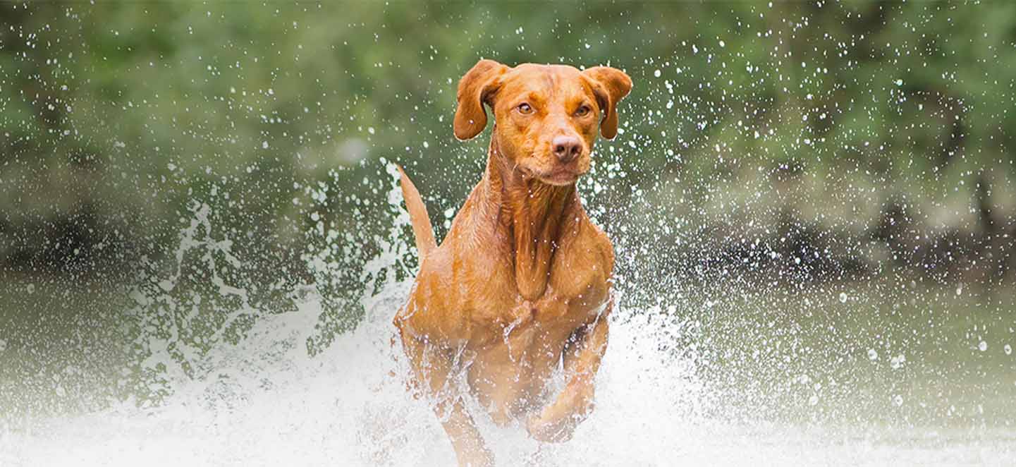 คำถามพบบ่อย