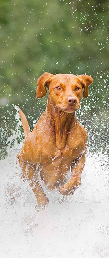 คำถามพบบ่อย Mobile