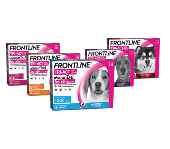 FLTA Product 560x490 png