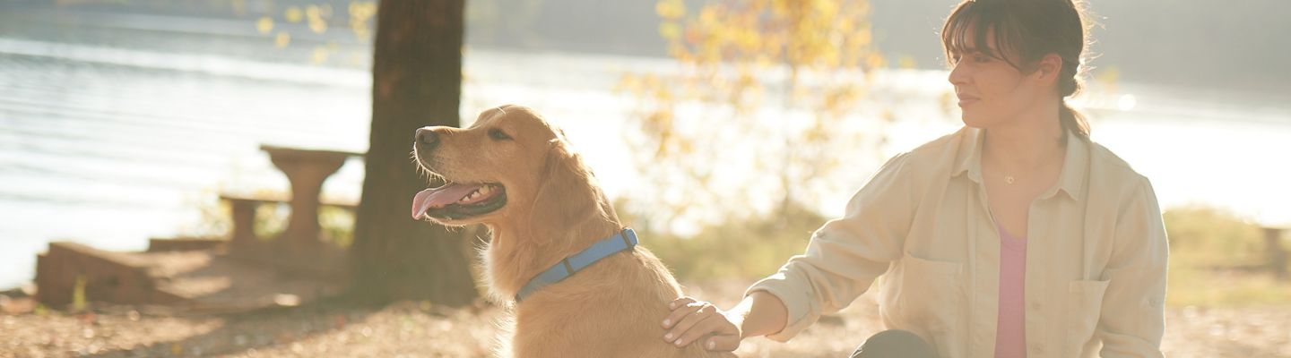 Strip Dog with Woman