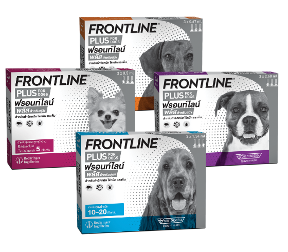 FLPlus Dog Product 560x490 png