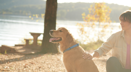 Banner Dog with Woman (540x300)