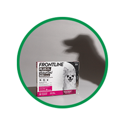 การอาบน้ำ