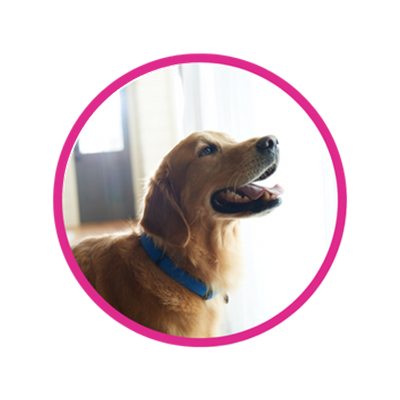 การอาบน้ำ