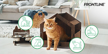 เลี้ยงแมวระบบปิดต้องระวังอะไร ทำไมการเลี้ยงระบบปิดจึงไม่เท่ากับความปลอดภัยเสมอไป 