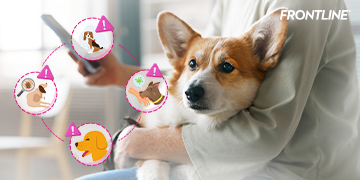 4 โรคที่ควรระวังและป้องกันให้น้องหมาในช่วงปีใหม่นี้