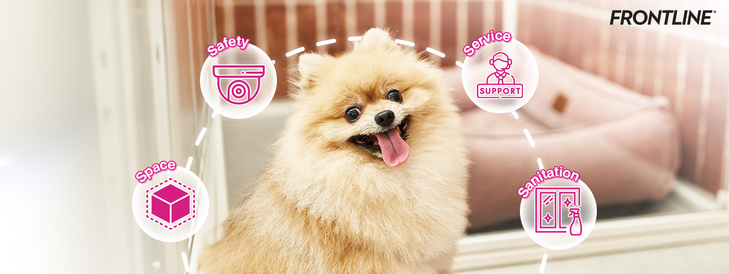 4 เคล็ดลับฝากเลี้ยงน้องหมาอย่างไรให้อุ่นใจ