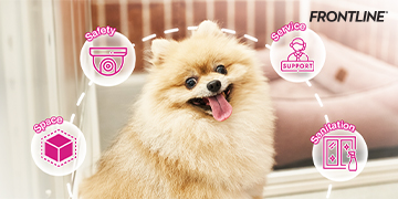 4 เคล็ดลับฝากเลี้ยงน้องหมาอย่างไรให้อุ่นใจ