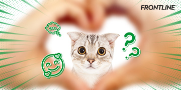 ภาษารักฉบับเหมียวๆ ท่าทางแบบไหนที่แมวบอกว่ารัก