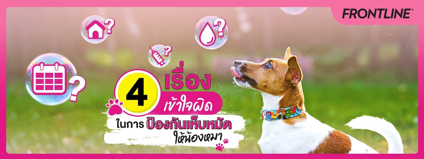 4 เรื่องที่มักจะโดนเข้าใจผิดในการป้องกันข้อมูลส่วนตัวให้น้องหมา