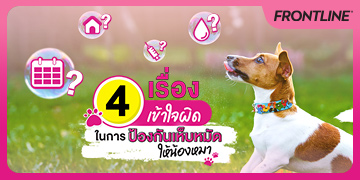4 เรื่องที่มักจะโดนเข้าใจผิดในการป้องกันข้อมูลส่วนตัวให้น้องหมา