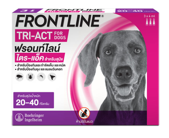 น้ำหนัก 20-40 กก. 