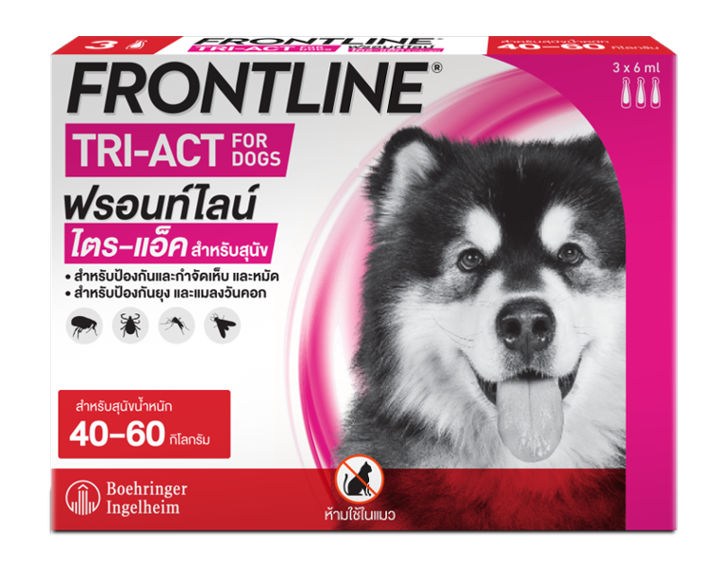 น้ำหนักมากกว่า 40 กก. 