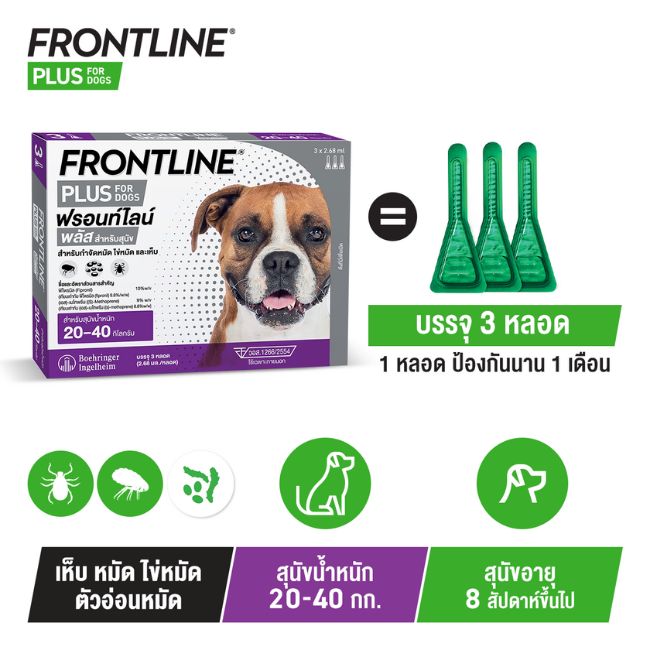 FLP Dog L SKU detail 2025