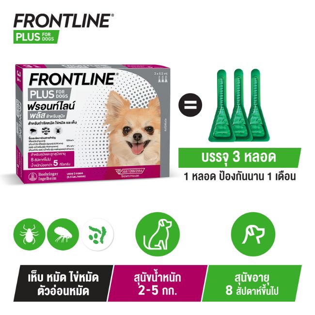 FLP Dog XS SKU detail 2025