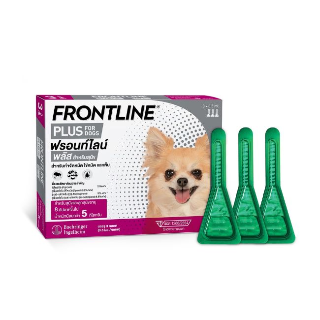 FLP DOG XS new design2025