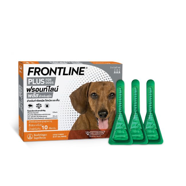 FLP DOG S new design2025