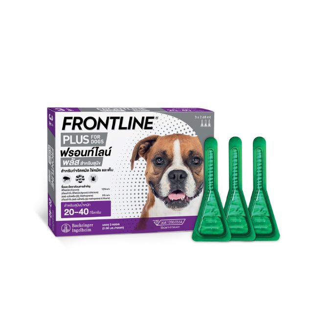 FLP DOG L new design2025