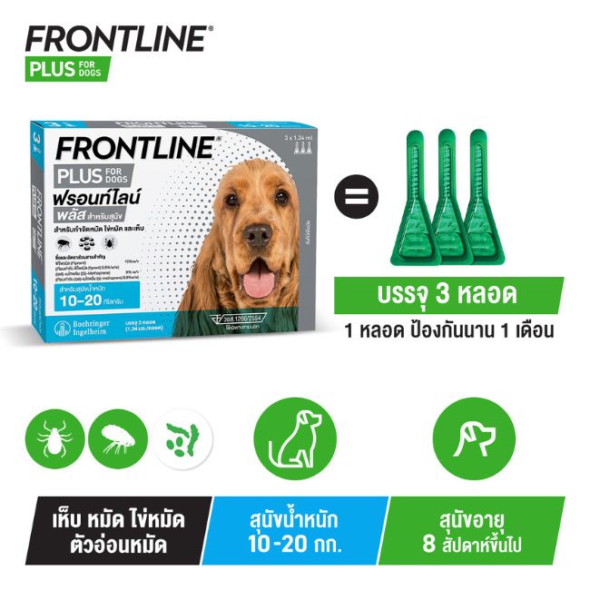 FLP Dog M SKU detail 2025