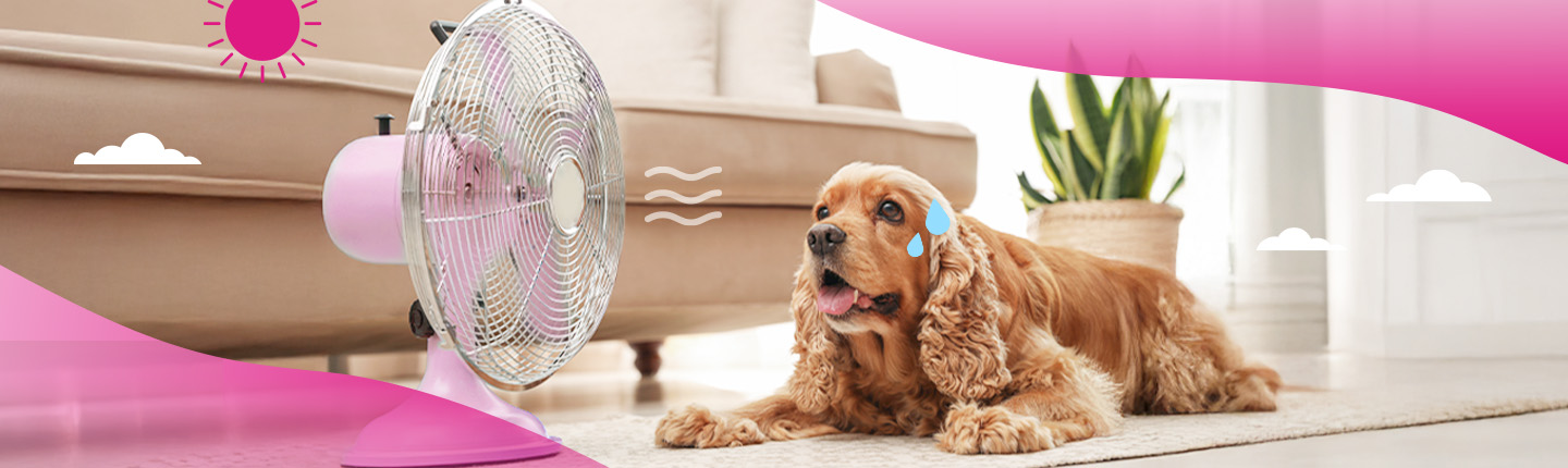 FL_Destop Thumbnail 1440x430