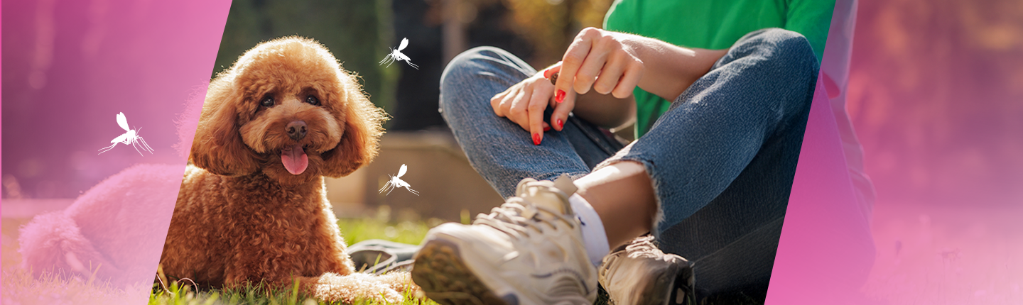 topic5 Leishmaniasis  1440x430