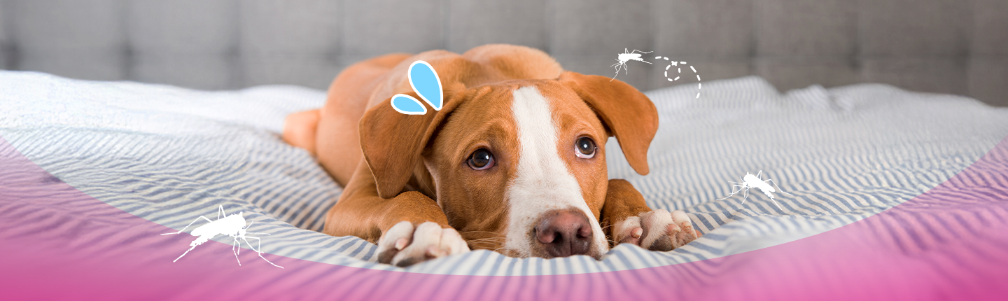 07-Longform-1440x430