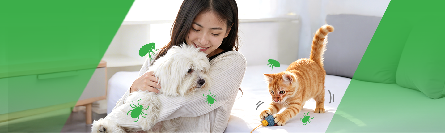 FL_Destop Thumbnail 1440x430