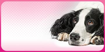 FL_Moblie Thumbnail_การกลับมาของพยาธิเม็ดเลือด