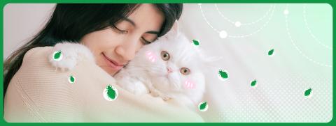 FL_กอดฟัดน้องแมว ปลอดภัยไหม_Destop Thumbnail.jpg