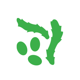 icon_ ไข่หมัด
